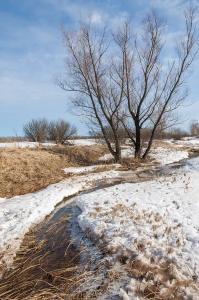 Spring Brook Textura Água Derretida Nos Riachos Primavera Dia Ensolarado — Fotografia de Stock