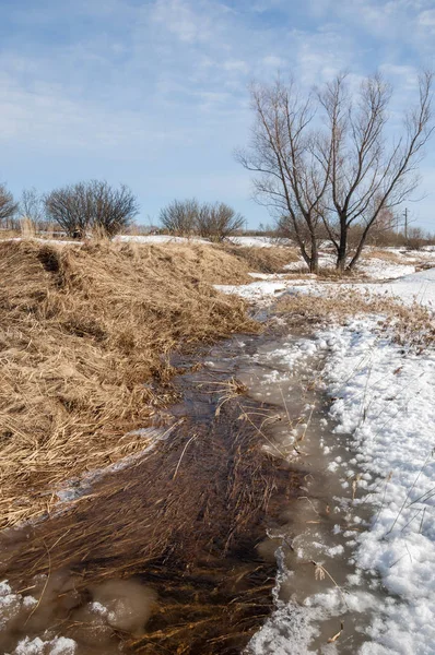 Brook bahar. güneşli bir bahar brooks suda eriyen doku. nehir dere dere. Bahar Nehri üzerinde buz erime. 