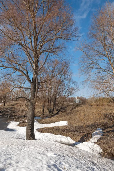 Brook bahar. güneşli bir bahar brooks suda eriyen doku. nehir dere dere. Bahar Nehri üzerinde buz erime. 