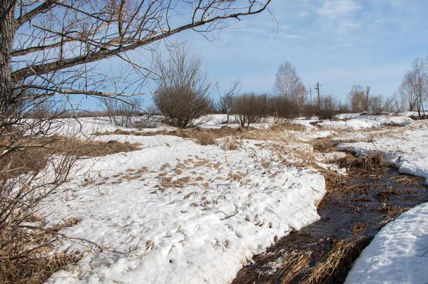 Brook bahar. güneşli bir bahar brooks suda eriyen doku. nehir dere dere. Bahar Nehri üzerinde buz erime. 