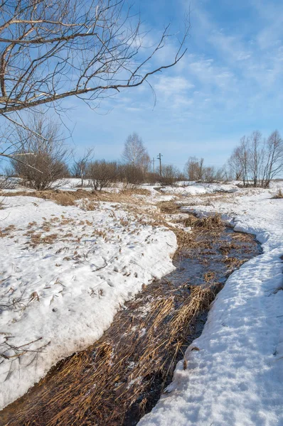 Brook bahar. güneşli bir bahar brooks suda eriyen doku. nehir dere dere. Bahar Nehri üzerinde buz erime. 