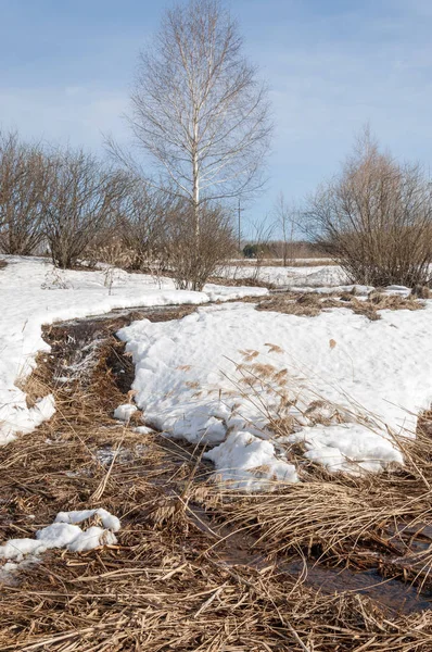 Brook bahar. güneşli bir bahar brooks suda eriyen doku. nehir dere dere. Bahar Nehri üzerinde buz erime. 