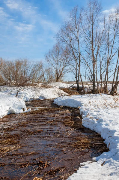 Brook bahar. güneşli bir bahar brooks suda eriyen doku. nehir dere dere. Bahar Nehri üzerinde buz erime. 