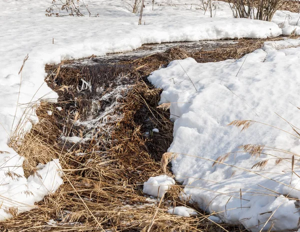 Brook bahar. güneşli bir bahar brooks suda eriyen doku. nehir dere dere. Bahar Nehri üzerinde buz erime. 