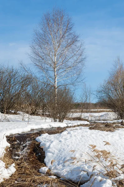Brook bahar. güneşli bir bahar brooks suda eriyen doku. nehir dere dere. Bahar Nehri üzerinde buz erime. 
