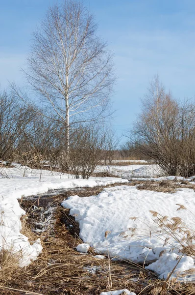 Brook bahar. güneşli bir bahar brooks suda eriyen doku. nehir dere dere. Bahar Nehri üzerinde buz erime. 