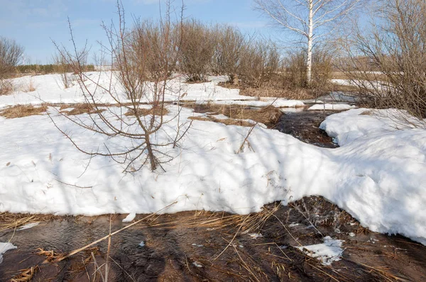 Brook bahar. güneşli bir bahar brooks suda eriyen doku. nehir dere dere. Bahar Nehri üzerinde buz erime. 