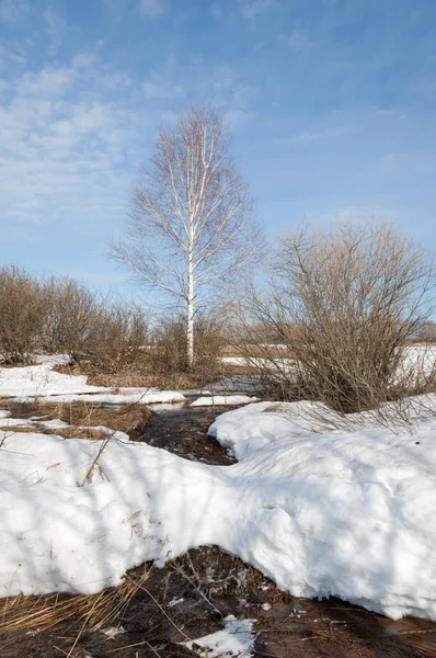 Brook bahar. güneşli bir bahar brooks suda eriyen doku. nehir dere dere. Bahar Nehri üzerinde buz erime. 