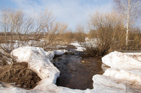 Brook bahar. güneşli bir bahar brooks suda eriyen doku. nehir dere dere. Bahar Nehri üzerinde buz erime. 