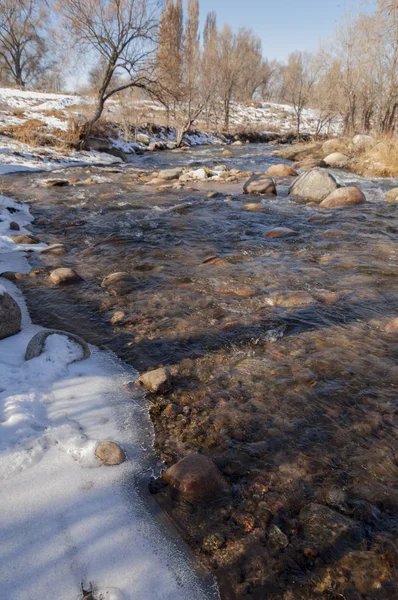 Sıcak, sevgi güneş son bahar kar