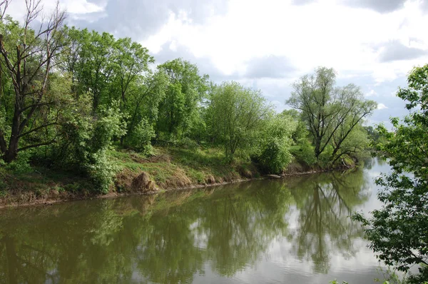 bahar Nehri. Nehir ve bahar orman. Doğa kompozisyon. Bahar Nehri bulutlarda yansımanın. Ağaçlar ilkbaharda bir nehir kıyısında