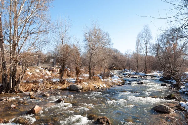 Sıcak, sevgi güneş son bahar kar