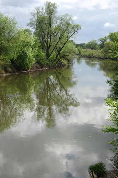 bahar Nehri. Nehir ve bahar orman. Doğa kompozisyon. Bahar Nehri bulutlarda yansımanın. Ağaçlar ilkbaharda bir nehir kıyısında