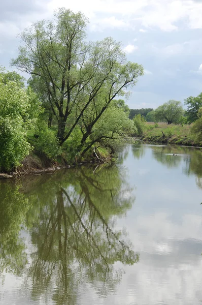 bahar Nehri. Nehir ve bahar orman. Doğa kompozisyon. Bahar Nehri bulutlarda yansımanın. Ağaçlar ilkbaharda bir nehir kıyısında