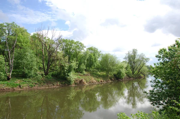 bahar Nehri. Nehir ve bahar orman. Doğa kompozisyon. Bahar Nehri bulutlarda yansımanın. Ağaçlar ilkbaharda bir nehir kıyısında