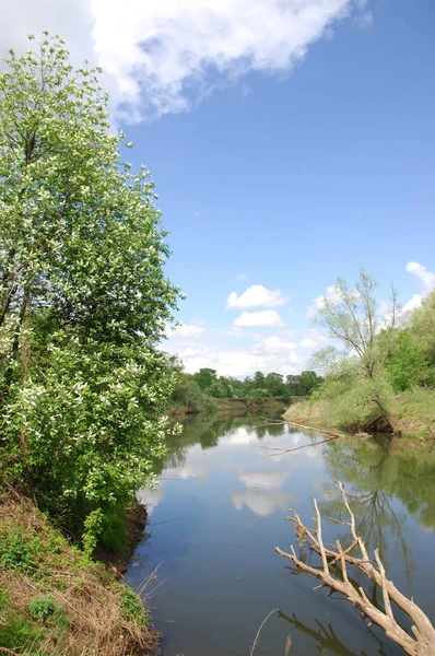 Våren Floden Floden Och Våren Skog Naturen Sammansättning Reflexion Moln — Stockfoto