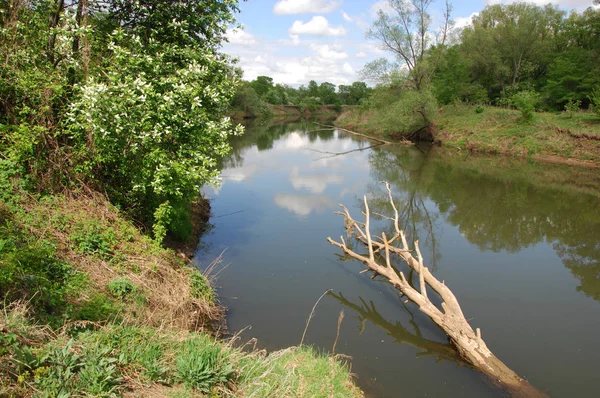 Våren Floden Floden Och Våren Skog Naturen Sammansättning Reflexion Moln — Stockfoto