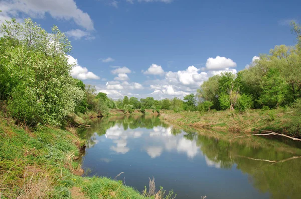 bahar Nehri. Nehir ve bahar orman. Doğa kompozisyon. Bahar Nehri bulutlarda yansımanın. Ağaçlar ilkbaharda bir nehir kıyısında