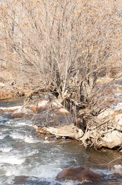Sıcak, sevgi güneş son bahar kar