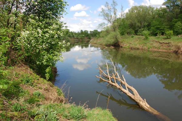 Våren Floden Floden Och Våren Skog Naturen Sammansättning Reflexion Moln — Stockfoto
