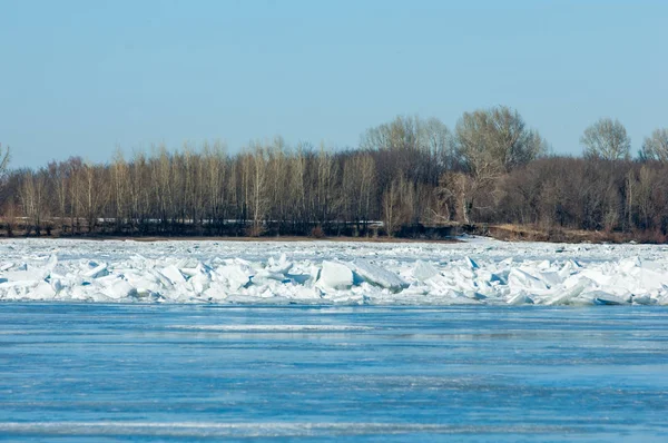 Потоп Реки Порванный Речной Лед Река Последним Льдом Россия Татарстан — стоковое фото