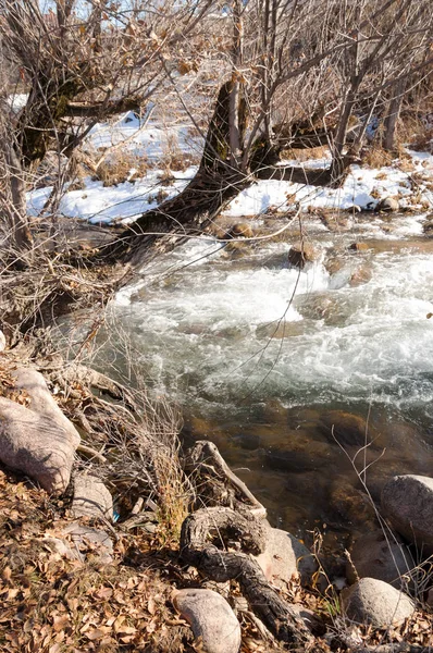 Letzten Frühling Schnee Warm Liebevolle Sonne — Stockfoto