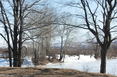 Donmuş gölün bahar. Bahar buz