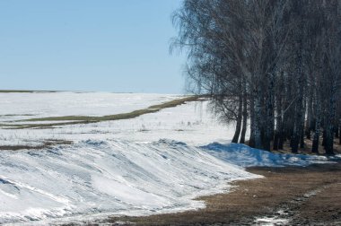 Geçen kış bahar kar. Ağaçlar