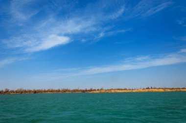 nehir bahar. bahar Nehri Orta Asya'da. Kazakistan bozkır nehir Semirechye. 