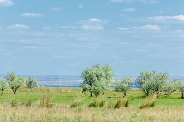 erken yaz aylarında bozkır