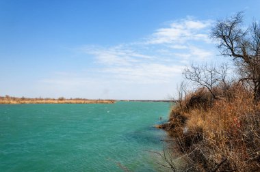 nehir bahar. bahar Nehri Orta Asya'da. Kazakistan bozkır nehir Semirechye. 