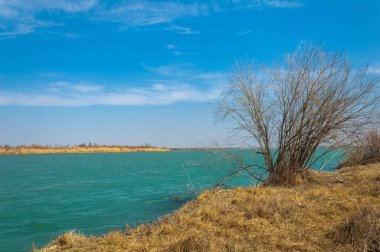 nehir bahar. bahar Nehri Orta Asya'da. Kazakistan bozkır nehir Semirechye. 
