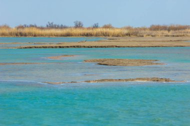 nehir bahar. bahar Nehri Orta Asya'da. Kazakistan bozkır nehir Semirechye. 