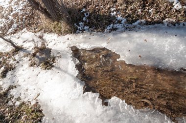 Sıcak, sevgi güneş son bahar kar
