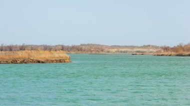 nehir bahar. bahar Nehri Orta Asya'da. Kazakistan bozkır nehir Semirechye. 