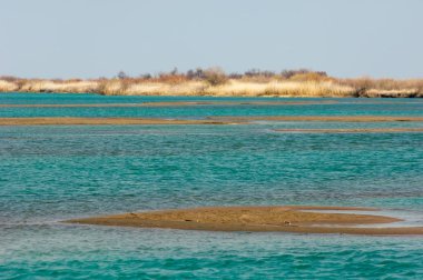 nehir bahar. bahar Nehri Orta Asya'da. Kazakistan bozkır nehir Semirechye. 