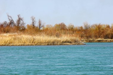 nehir bahar. bahar Nehri Orta Asya'da. Kazakistan bozkır nehir Semirechye. 