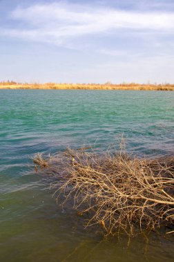 nehir bahar. bahar Nehri Orta Asya'da. Kazakistan bozkır nehir Semirechye. 
