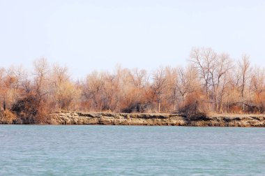 nehir bahar. bahar Nehri Orta Asya'da. Kazakistan bozkır nehir Semirechye. 