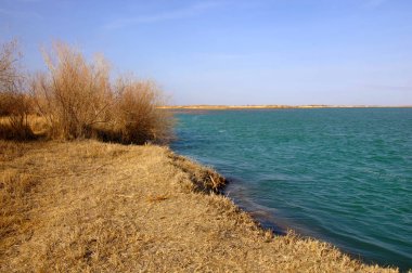 nehir bahar. bahar Nehri Orta Asya'da. Kazakistan bozkır nehir Semirechye. 