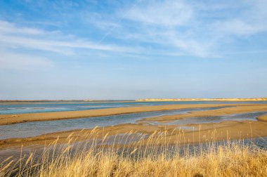 nehir bahar. bahar Nehri Orta Asya'da. Kazakistan bozkır nehir Semirechye. 