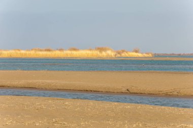 nehir bahar. bahar Nehri Orta Asya'da. Kazakistan bozkır nehir Semirechye. 