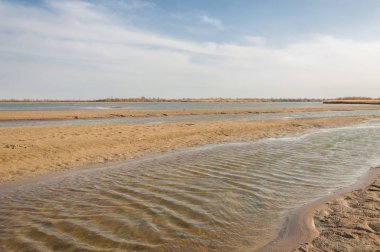 nehir bahar. bahar Nehri Orta Asya'da. Kazakistan bozkır nehir Semirechye. 