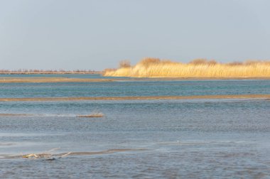 nehir bahar. bahar Nehri Orta Asya'da. Kazakistan bozkır nehir Semirechye. 