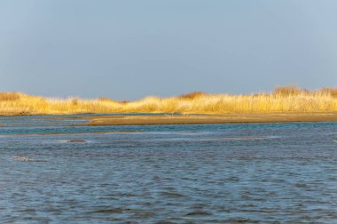 nehir bahar. bahar Nehri Orta Asya'da. Kazakistan bozkır nehir Semirechye. 