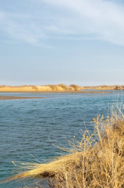 nehir bahar. bahar Nehri Orta Asya'da. Kazakistan bozkır nehir Semirechye. 