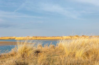 nehir bahar. bahar Nehri Orta Asya'da. Kazakistan bozkır nehir Semirechye. 