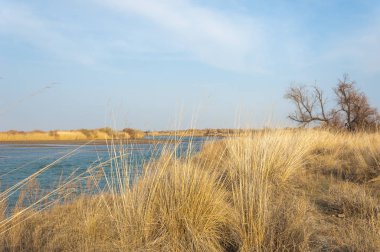 nehir bahar. bahar Nehri Orta Asya'da. Kazakistan bozkır nehir Semirechye. 