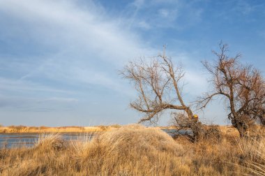 nehir bahar. bahar Nehri Orta Asya'da. Kazakistan bozkır nehir Semirechye. 