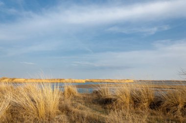 nehir bahar. bahar Nehri Orta Asya'da. Kazakistan bozkır nehir Semirechye. 